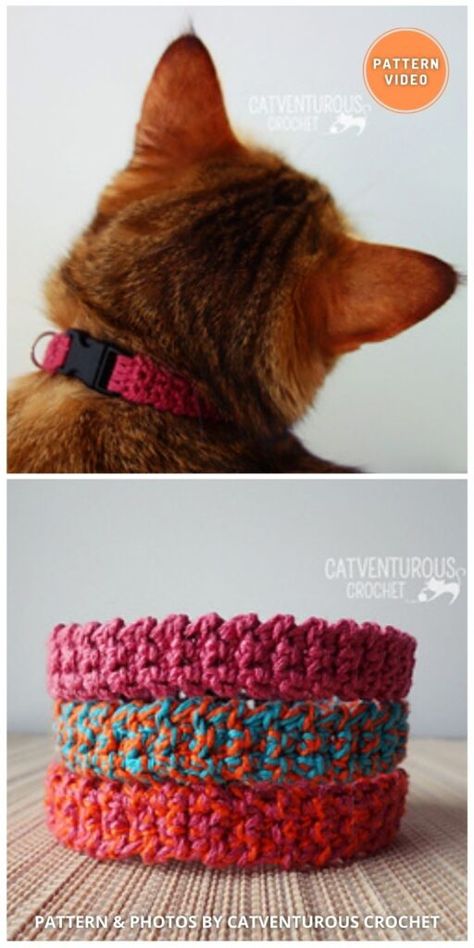 Pet Collar Crochet, Crochet Dog Collar, Cat Collars Diy, Dog Collar Pattern, Crochet Collar Pattern, Video Collage, Crochet Pet, Crochet Cat Toys, Diy Dog Collar