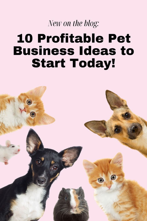 animal business ideas
pet business ideas
unusual pet business ideas
online pet business ideas pet business
pet sitting business
pet care business
pet industry jobs
pet grooming business
how to start a pet business
pet based business
pet daycare business
pet business opportunity Animal Business Ideas, Pet Small Business, Pet Social Media Post, Pet Boutique Ideas, Pet Business Ideas, Dog Business Ideas, Unique Small Business Ideas, Dog Boutique Ideas, Dog Sitting Business