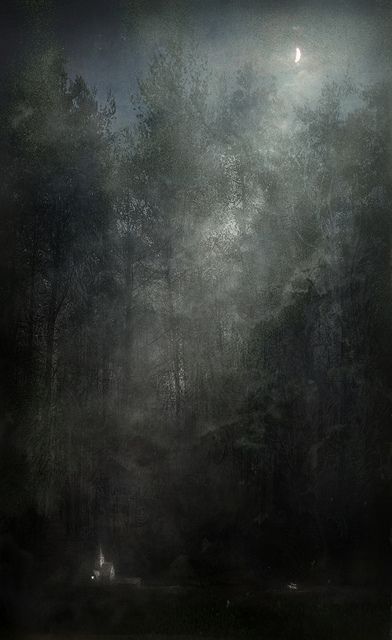 Little Night Story - Yaroslav Gerzhedovitch: Night Story, Dark Naturalism, Moonlight Painting, Heroic Fantasy, Night Art, Moon Art, Dark Forest, The Darkness, Pics Art