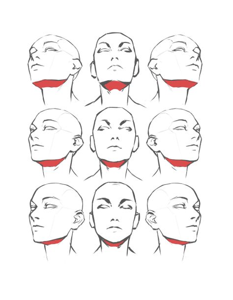 Head Posture Drawing, Head Leaned Back Drawing, Head Up Reference Drawing, Slightly Tilted Head Reference, Drawing Reference Head Angles, Drawing Heads Angles, Body Angles Drawing, Face Up Drawing, How To Draw The Head