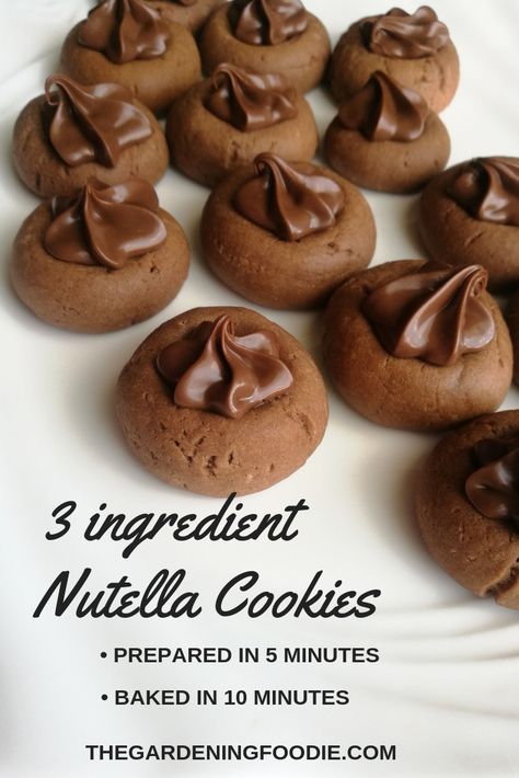 Super Fast And Easy Desserts, Nutella Recipes Gluten Free, 5 Ingredient Baking Recipes, Very Quick Desserts, Treats With Nutella, Simple Baked Goods 3 Ingredients, Ways To Use Nutella, Cookies With Nutella Recipes, Fast And Easy Cookies Recipes