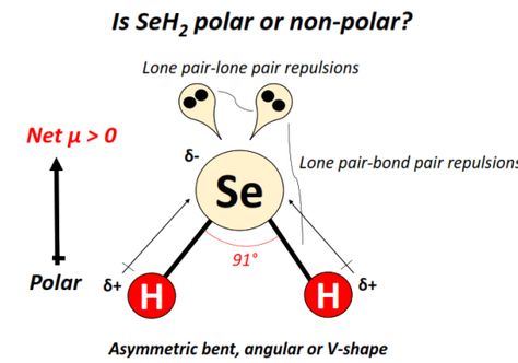 Is SeH2 polar or nonpolar? V Shape, Chemistry, The Unit, In This Moment