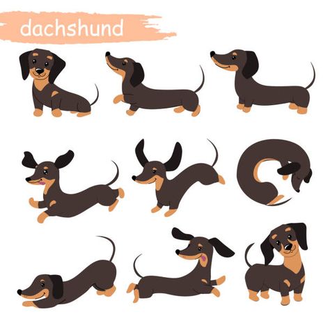 Dashhound Illustration, Drawing A Dachshund, Cartoon Weiner Dog, Funny Dachshund Art, Daschund Illustration Cute, Weiner Dog Illustration, Sausage Dog Cartoon, Dachshund Dog Illustration, Basset Hound Illustration