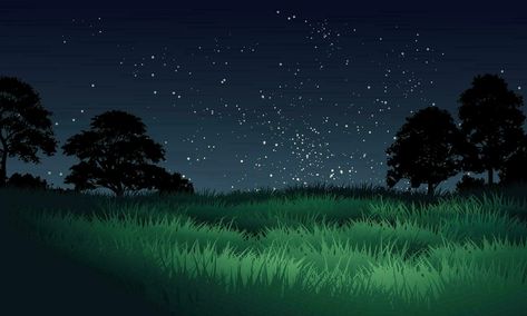 Night landscape in grassland with trees and starry sky Night Landscape Aesthetic, Gacha Night Background, Night Background Aesthetic, Grass At Night, Scenery Night, Night Field, Plains Landscape, Landscape Night, Plant Cartoon