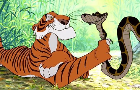 From the Jungle Book (1967) Jungle Book Snake, Jungle Book Characters, The Jungle Book 2, Disney Movie Art, Jungle Book Disney, Disney Challenge, The Jungle Book, Disney Gif, Disney Animals