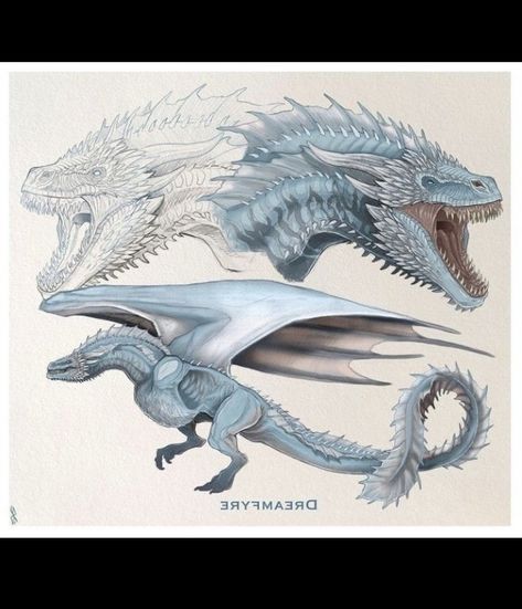 Drogon Game Of Thrones, Dragon Medieval, Dragon Queen, Game Of Thrones Dragons, Mythical Creatures Fantasy, Got Dragons, Dragon Artwork Fantasy, Targaryen Art, Dragon Sketch