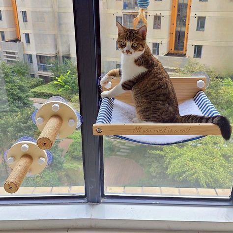 Faster shipping. Better service Nature, Window Stairs, Cat Window Hammock, Cat Window Perch, Window Perch, Cat Window, Cat Products, Cat Hammock, Sisal Rope