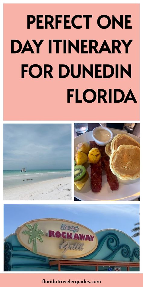 One Day in Dunedin: Discover the hidden gems of this Florida Gulf Coast town through a local’s eyes. From craft breweries and unique eateries to stunning natural parks and sunset spots, this one day itinerary covers it all. Nature, Dunedin Florida, Florida Gulf Coast, Gulf Coast Florida, Perfect Itinerary, Natural Park, Craft Brewery, Sunshine State, Florida Travel