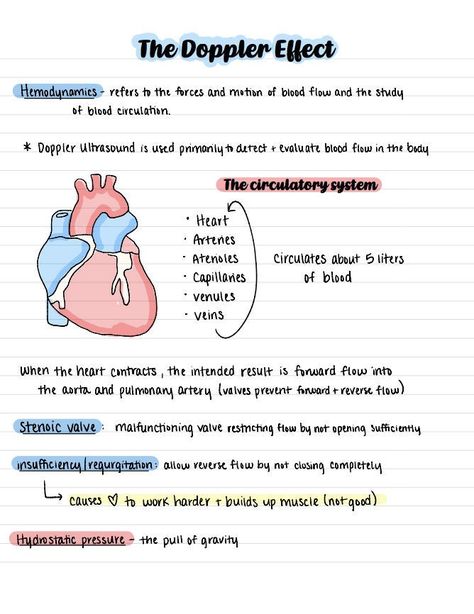 This purchase includes the notes for Ultrasound physics semester 2 for the Doppler Effect (chapter 5). Ultrasound Physics, Nursing School Studying Cheat Sheets, Medical Terminology Study, Study Sheets, Learn Biology, Nursing School Essential, Nursing School Motivation, Basic Anatomy And Physiology, Study Biology