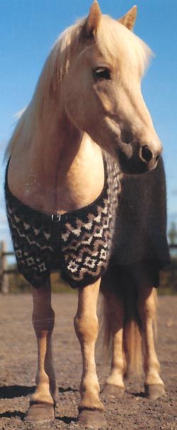 Horse blanket pattern