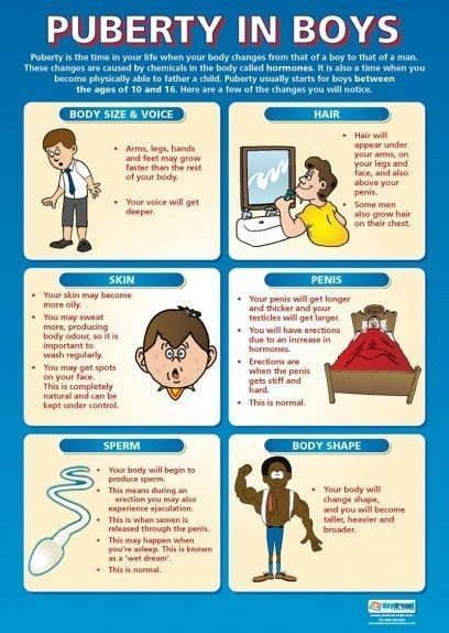 Pin by Yahweh Nissi on Teaching Life skills | Puberty in boys, Kids education, Puberty Male Features, Middle Childhood, Babysitting Activities, Boys Posters, School Health, Parenting Boys, Smart Parenting, School Posters, Parenting Skills