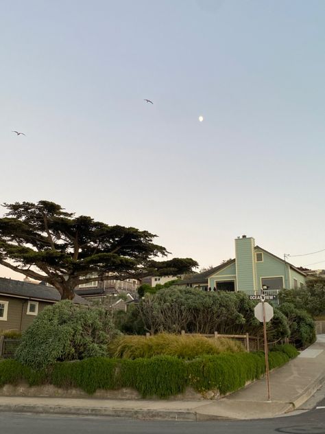 Northern California Aesthetic Home, Monterey California Aesthetic, Monterey Aesthetic, California House Aesthetic, California Summer Aesthetic, Monterey House, Monterrey Bay, Moorpark California, Monterey Beach