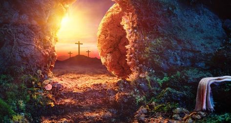 Happy Resurrection Sunday, Happy Resurrection, Jesus Has Risen, Jesus Tomb, Sunday Images, Empty Tomb, Resurrection Day, Resurrection Sunday, Jesus Face