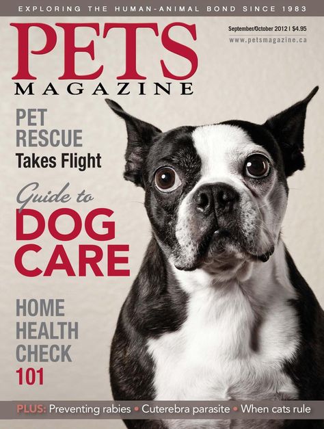 PETS Magazine September/October 2012 Pet Magazine, Animal Magazines, Yorkie Haircuts, Cat Magazine, Dog Portraits Art, Dog Magazine, Boston Terrier Love, Photography Illustration, Health Check