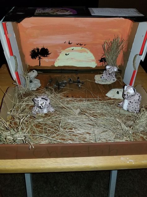 Cheetah diorama Cheetah Diaroma, Cheetah Diorama For Kids, Cheetah Habitat Diorama, Cheetah Diorama, Lion Diorama, Savanna Diorama, Habitat Project, Boys Crafts, Cow Cupcakes