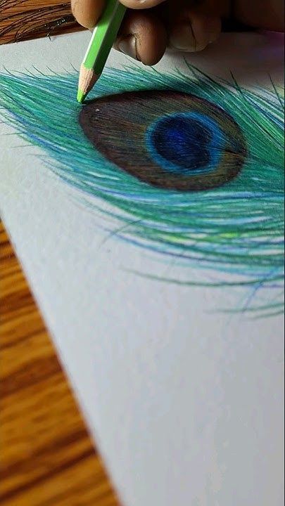 Painting Peacock Feathers, Morpankh Drawing Easy, Peacock Feather Pencil Drawing, Peackok Feather Aesthetic, Drawing Peacock Feathers, How To Draw Peacock Feathers, Krishna Colour Pencil Drawing, Peacock Feathers Drawing, Peacock Feathers Painting