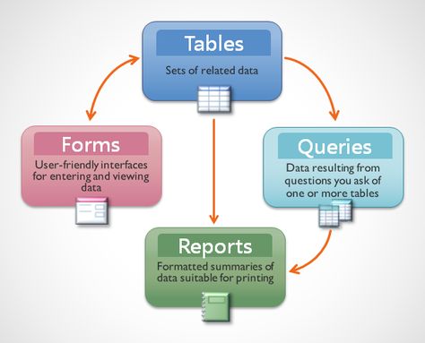 Access 2016: Introduction to Objects Accounting Notes, Ms Office 365, Learn Sql, Ms Access, Microsoft Access, Access Database, Data Form, Free Online Learning, Learn Computer Science