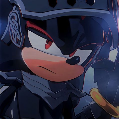 Shadow Sonic, Rouge The Bat, Sonic Funny, Sonic Fan Characters, Blue Hedgehog, Sonic Franchise, Hedgehog Art, Sonic Adventure, Shadow Pictures