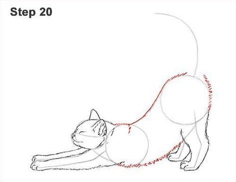 Cat Stretching Drawing Reference, Drawing Tutorial Cat, Cat Eye Drawing, Cat Drawing Sketches, Cat Hand Drawing, Cat Drawings Simple, Wolf Drawing Easy, Drawing Ideas Cute, Cat Drawing Ideas