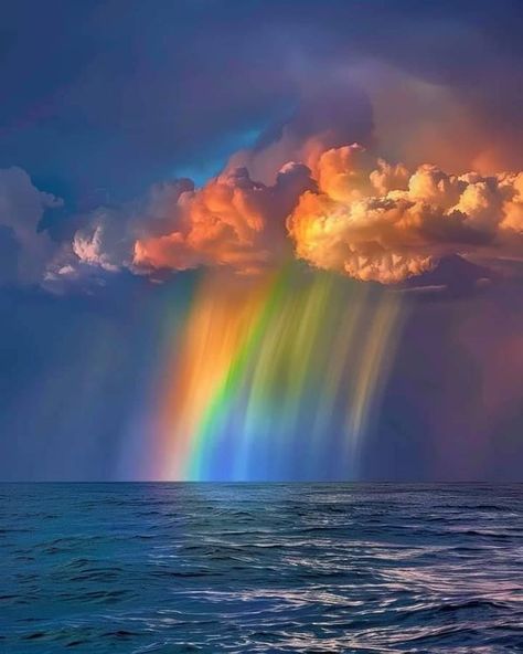 Sanibel & Captiva Island | The rain falling over the rainbow creates a mesmerizing display of color and light, a truly magical sight to see🌈🌈🌈 | Facebook Rainbow Photography Nature, Rain Falling, Natural Vibes, Rainbow Images, Rainbow Photography, Color And Light, Rainbow Sky, Scenery Pictures, Rainbow Aesthetic