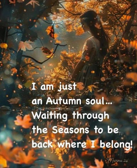 I love autumn 🍂 🍁 can not wait for cooler weather! #autumn #autumnvibes #autumncolors #autumndecor Winter Selfcare, Autumnal Aesthetic, Fall Core, Fav Poetry, Funny Autumn, Autumn Poems, Magical Autumn, I Love Autumn, Autumn Witch