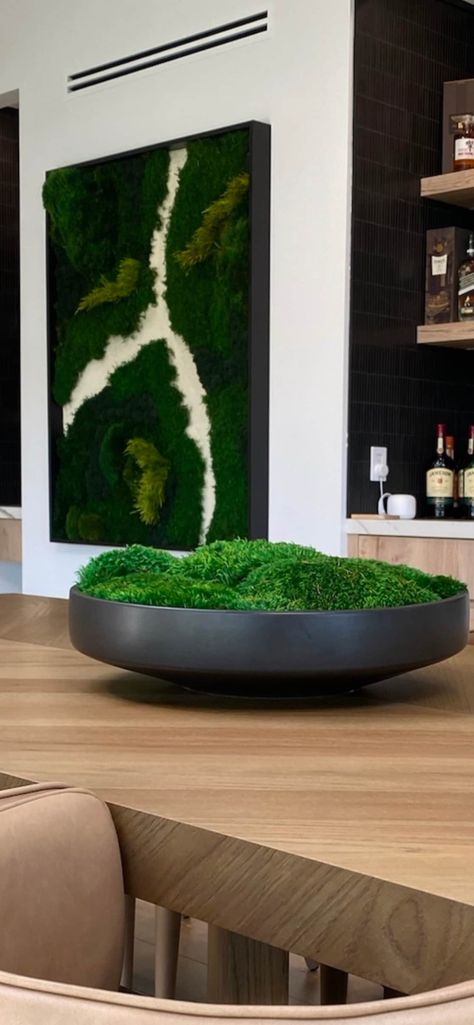 Moss Bowl Centerpiece, Cement Bowl, Moss Bowl, Moss Centerpieces, Types Of Moss, Bowl Centerpiece, Palm Springs Style, Moss Wall Art, Moss Art