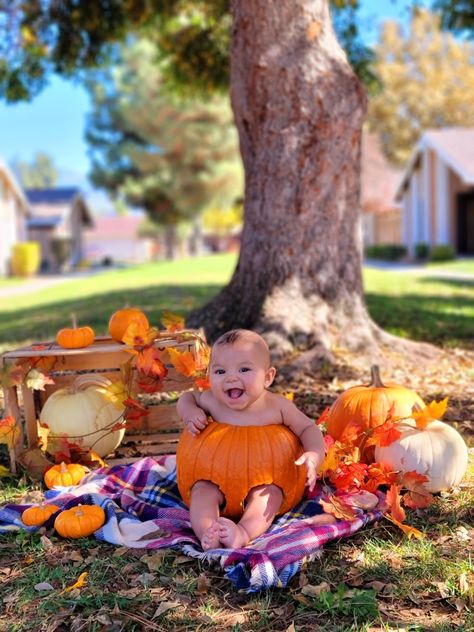 Baby fall pumpkin photo October Infant Photo Shoot, 4 Month Fall Photoshoot, 6 Month Pumpkin Photos, 5 Month Old Halloween Photoshoot, Baby Pumkin Shoot, Pumpkin Baby Photoshoot Ideas, Baby In A Pumpkin Photoshoot, 6 Month Pumpkin Photoshoot, Diy Baby Pumpkin Photoshoot