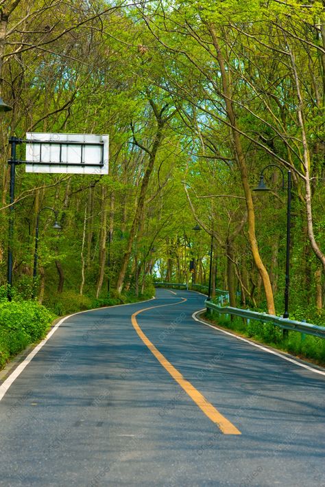 Forest Road Afternoon Road Outdoor Sports Photography Map With Pictures Background, Unmanned, Outdoor, Road Background Image for Free Download Road Hd Background, Hdr Background Photo, Road Side Background For Editing, Road Editing Background, Background Images Outdoor, Road Images For Editing, Green Road Background, Outdoor Background For Editing, Road Ka Background