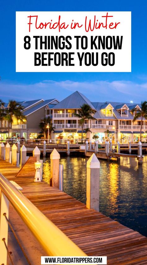 Florida in Winter: 8 Thing You Need to Know Before You Go Florida In December, Things To Do In Florida, Travel Florida, Florida Trip, Visit Florida, Sunshine State, Florida Vacation, Florida Travel, Things To Know