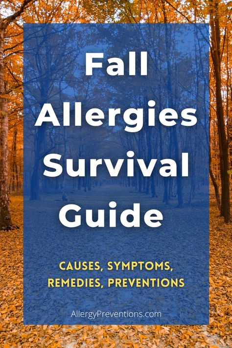 This fall allergy guide will help you avoid autumn allergies all season. Packed with tips, natural remedies, and recommendations to enjoy this time of year. #Autumn #allergypreventions #fallallergies #allergiessuck Fall Allergy Relief, Seasonal Allergy Remedies, Seasonal Allergy Relief, Natural Allergy Relief, Fall Allergies, Seasonal Allergy Symptoms, Home Remedies For Allergies, Natural Remedies For Allergies, Allergy Remedies