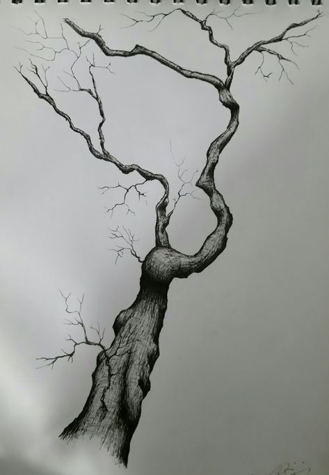 Burnt Tree Drawing, Burnt Tree, Tools Drawing, Art Tools Drawing, Tree Drawing, Tree Tattoo, Art Tools, Art Class, Art Classes