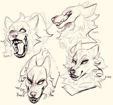 Wolf Sketch, Canine Drawing, Werewolf Art, Wolf Drawing, Canine Art, Creature Drawings, Drawing Expressions, Art Help, Animal Sketches