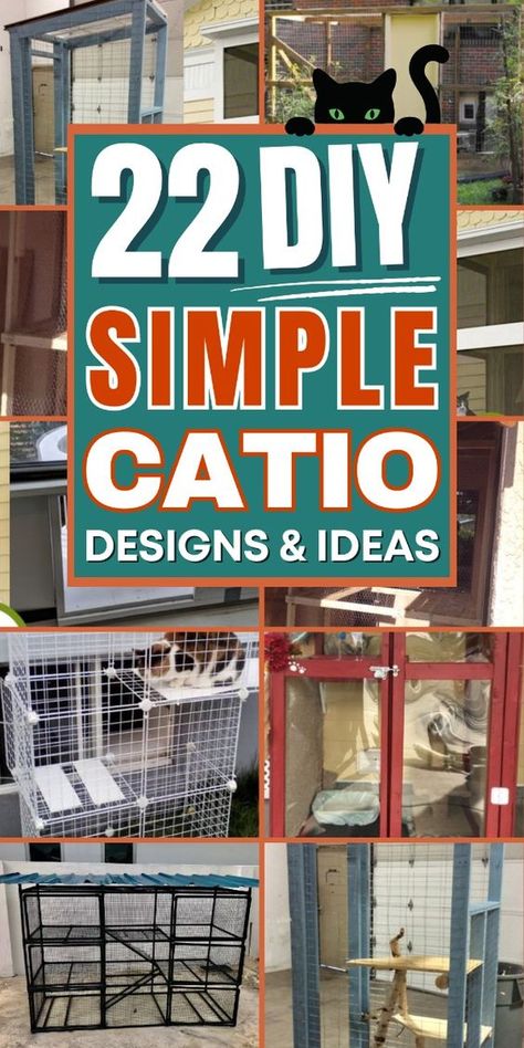 Transform your backyard into a cat paradise with these fun DIY catios. Rv Catio Ideas, Cat Houses Diy, Diy Cat Shelves Catwalks, Diy Catios For Cats Outside Easy, Diy Outside Cat House, Diy Catio Plans Free, Catio Ideas Cat Diy, Diy Cat Patio, Catio Plans Diy