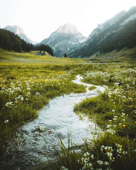 joni | Switzerland on Instagram: “A small river flowing through a grassland full of flowers. Found this beautiful spot when @simehedinger and I walked up to the Fälensee.…” River Flowing, Natural Photography, Scenic Photography, Pretty Landscapes, December 13, Landscape Scenery, Nature Tattoos, Natural Beauty Tips, Nature Aesthetic