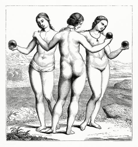 Three Graces Painting, 3 Graces Art, Three Graces Illustration, Greek Women Statues, Three Graces Tattoo, Greek Aphrodite, 3 Graces, The Secret History Aesthetic, Goddess Greek