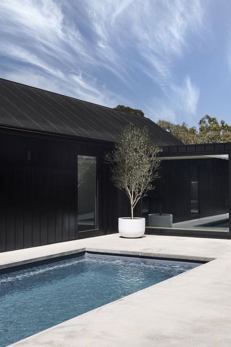 A backyard pool with a seamless edge, concrete surrounds and an olive tree. Black Houses, Green Pool, Contemporary Barn, Pool Landscape Design, Homes To Love, Black Barn, Monochrome Palette, Concrete Pool, Modern Pools