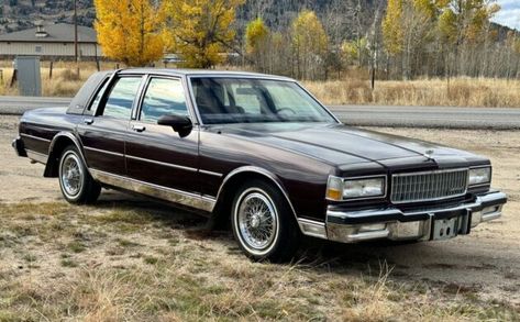 This 1988 Chevrolet Caprice Classic Brougham is an unmolested survivor that needs nothing but a new home. Caprice Classic, Chevrolet Caprice, Cold Air, Rock Solid, American Classic Cars, Steel Wheels, Classy Cars, American Classic, Barn Finds