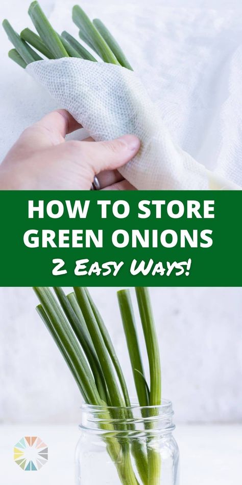 Can You Freeze Green Onions, How To Preserve Fresh Green Onions, How To Save Green Onions, How To Preserve Scallions, Green Onion Storage How To Store, Keeping Green Onions Fresh, Best Way To Store Green Onions, How To Keep Green Onions Fresh In Fridge, How To Store Scallions