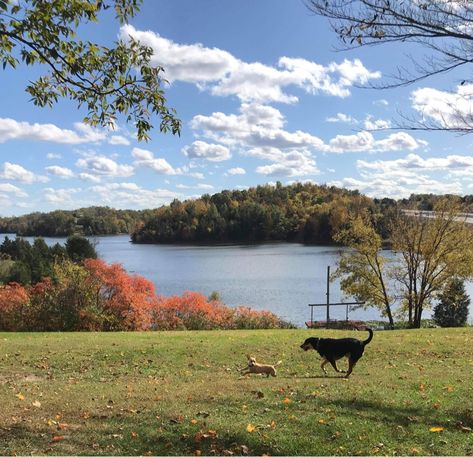 House By The Lake Aesthetic, Mountain Lake Cabin, North Carolina Lake House, House On Land Country, Farm Lake House, House On Land, Kentucky Aesthetic, House By A Lake, House On A Farm