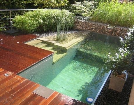 17 Natural Swimming Pools You Wish Were In Your Backyard Outdoor Wood Decking, Atelier Decor, Wood Deck Designs, Swimming Ponds, Natural Swimming Ponds, Green Pool, Wooden Deck, Swimming Pond, Natural Swimming Pools