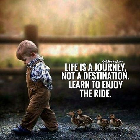 Leadership Quotes, Daily Quotes Positive, Best Positive Quotes, Last Ride, Journey Quotes, Quotes Deep Meaningful, Life Is A Journey, Lesson Quotes, Good Life Quotes