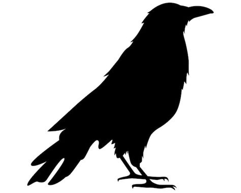 Vector black crow silhouette | Premium Vector #Freepik #vector #raven #crow #bird-illustration #tattoo-art Raven Silhouette Stencil, Crow Colouring Pages, Raven Template Free Printable, Crow Silhouette Free Printable, Ravens Silhouette, Crow Drawing Simple, Crow Template, Raven Template, Crow Outline