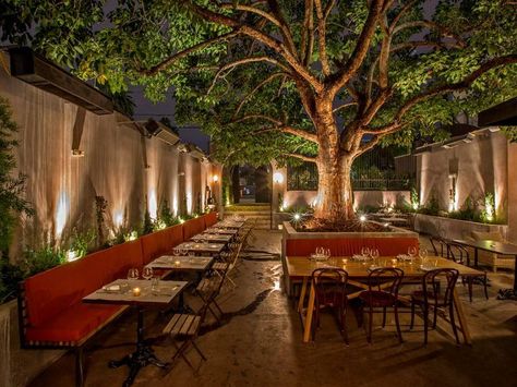 Patric Kuh Lauds Terrine's Mastery of Contrasts - Eater LA Outdoor Restaurant Ideas, Outdoor Restaurant Patio, Wine Aesthetic, Outdoor Restaurant Design, Restaurant Patio, Los Angeles Restaurants, 카페 인테리어 디자인, Outdoor Cafe, Garden Cafe