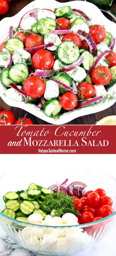 Tomato Mozzarella Salad Recipe, Tomato And Mozzarella Salad, Tomato Mozzarella Salad, Cucumber Dill Salad, Tomato And Mozzarella, Cucumber Dill, Satisfying Salads, Mozzarella Salad, Cucumber Tomato Salad