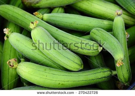 Sponge Gourd Vegetable Sponge( Luffa cylindrica Roem.) Types Of Gourds, Indian Vegetables, Sponge Gourd, Gourd Vegetable, Luffa Sponge, Gold Vault, Spinach Seeds, English Names, Popular Photo