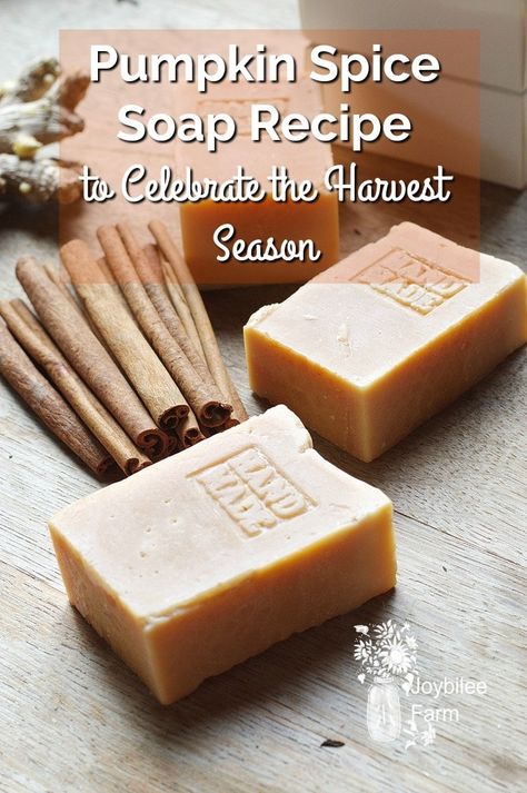 Pumpkin Soap Recipe Cold Process, Pumpkin Spice Soap Recipe, Halloween Soap Cold Process, Fall Soap Recipes, Pumpkin Spice Soap, Pumpkin Soap, Easy Soap Recipes, Diy Soap Recipe, Cold Process Soap Recipes