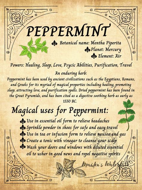 Peppermint the Enduring Herb Witchery Wall Art Poster 18 | Etsy Cyprus Witchcraft Tools, Medicine Garden, Wiccan Art, Attracting Love, Magickal Herbs, Witch Herbs, Herb Gardens, Magic Spell Book, Grimoire Book