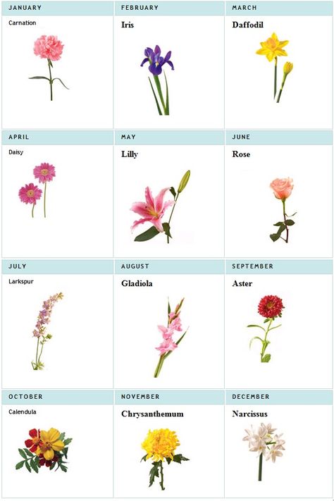 birth month flowers for my tattoo, all my loves have the prettiest flowers too eekkk can't wait! Flowers For Each Month, Wildflowers Tattoo, Flower Bouquet Tattoo, Bouquet Tattoo, Flower Sleeve, Birth Flower Tattoos, Side Tattoos, Trendy Flowers, Tattoos For Daughters