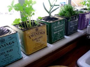 The Perks of a Kitchen Herb Garden Repurposed Planter, Tin Planters, Window Box Garden, Windowsill Garden, Bohemian Kitchen, Tea Container, Indoor Herb Garden, Herbs Indoors, Tea Tins