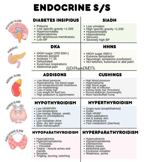 Home / X Endocrine Med Surg, Hormones Nursing, Endocrine System Nursing, Nursing School Studying Cheat Sheets, Nursing Cheat, Nursing School Essential, Nursing School Motivation, Gastrointestinal Disease, Medical School Life